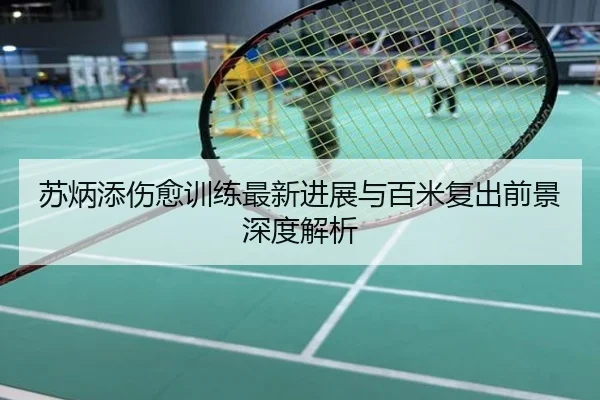 苏炳添伤愈训练最新进展与百米复出前景深度解析