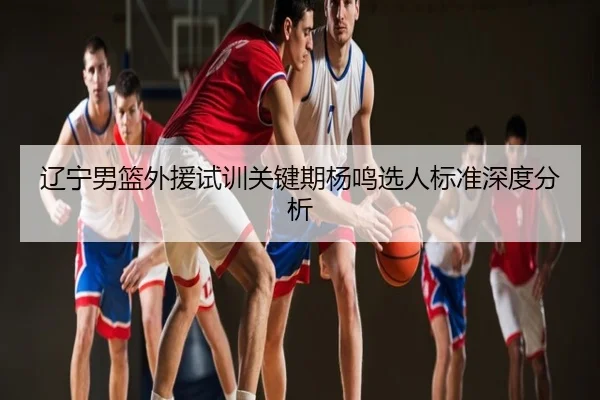 辽宁男篮外援试训关键期杨鸣选人标准深度分析